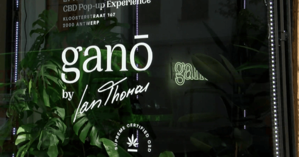 Police shut down pop singer’s shop selling cannabis oil