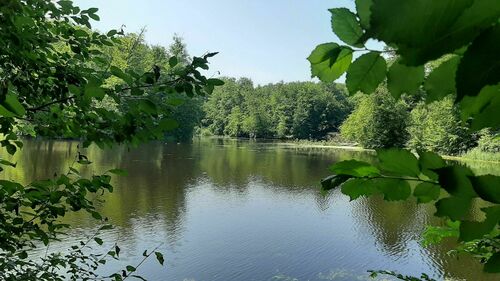Hidden Belgium: The train station in the forest