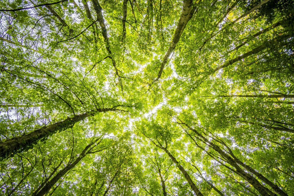 Flanders postpones key environmental decisions due to summer break