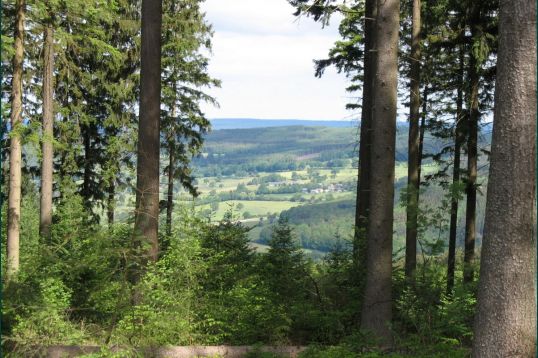 Hidden Belgium: Vielsalm hiking trails