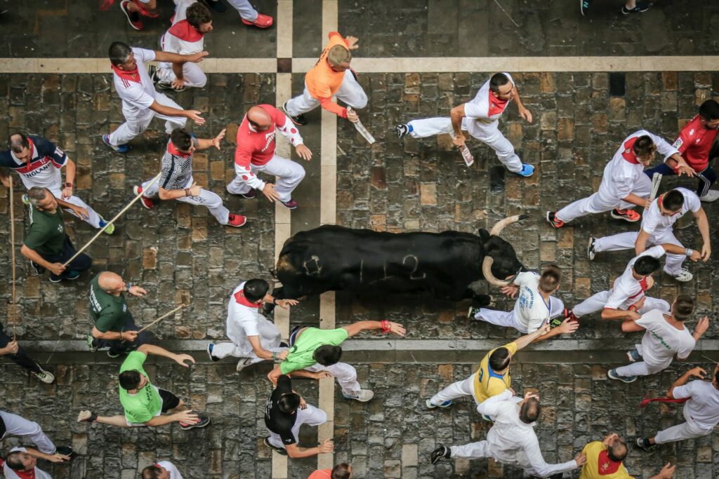 Casualty toll for this year's bull runs in Pamplona, Spain, reaches 35
