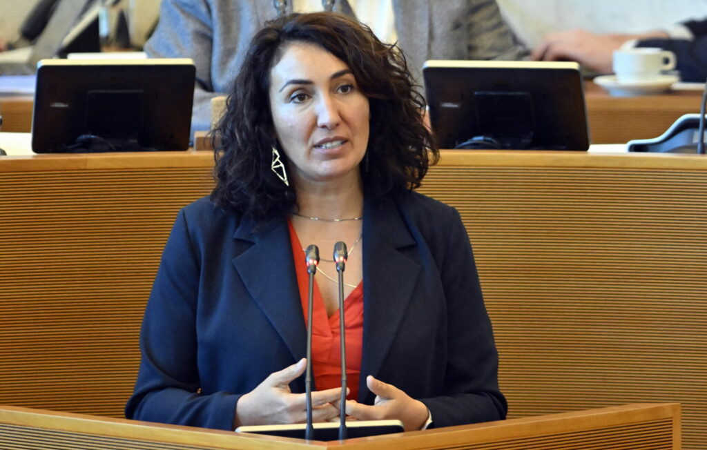 Walloon parliament draws lessons from a scorching summer