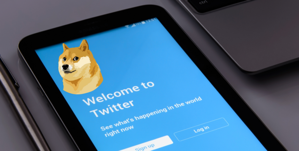 Elon Musk changes Twitter logo to dog meme