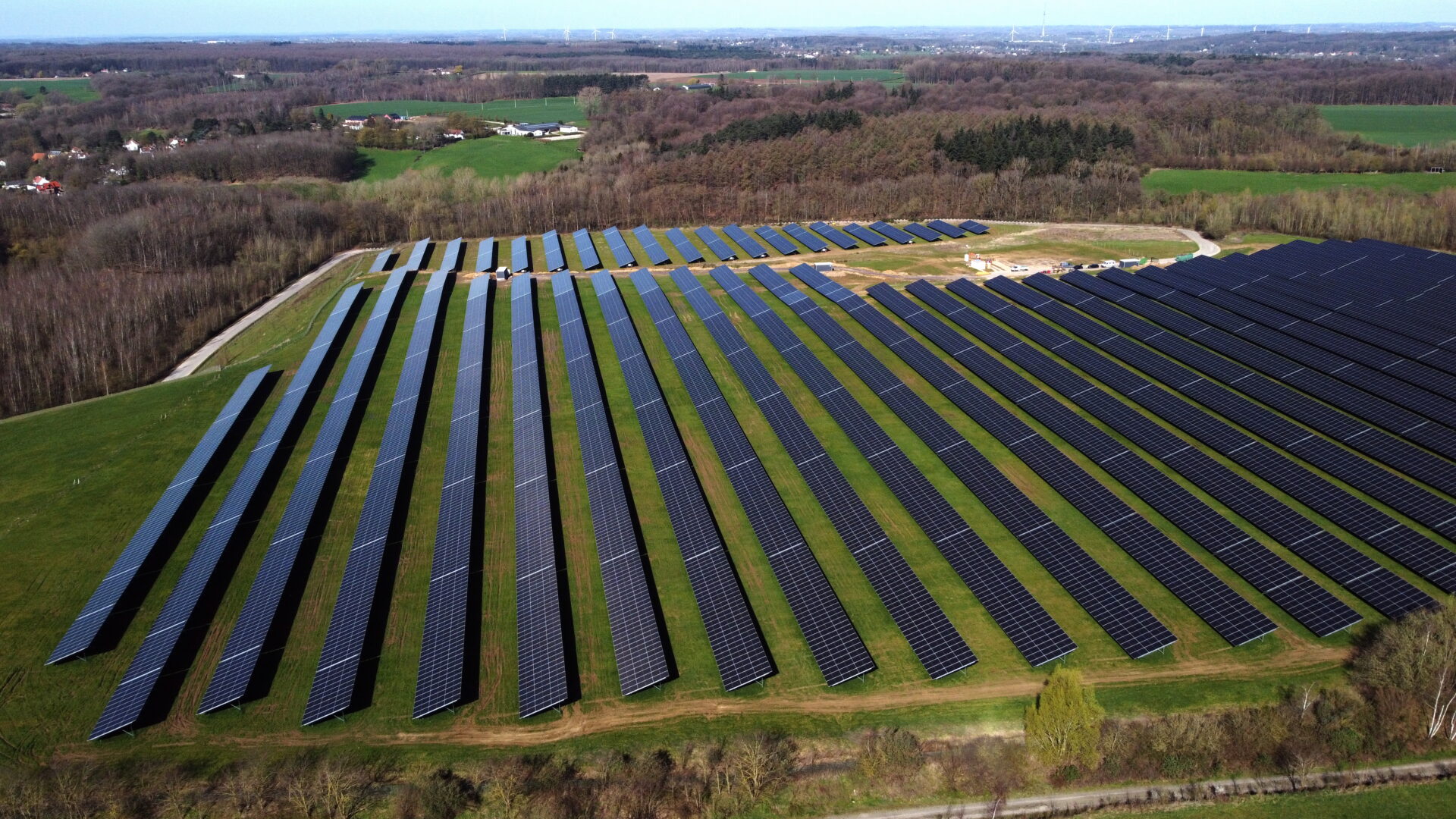 ‘Green’ faces a fight for survival