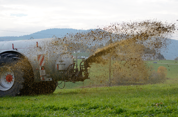 EU introduces first-ever law to protect soil health