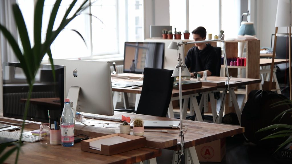 Fewer young graduates employed in Belgium than in neighbouring countries