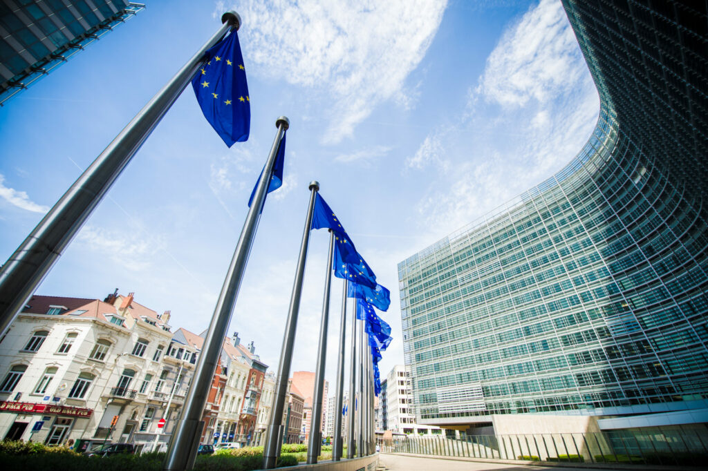 EU anti-trafficking legislation targets forced marriage, surrogacy and adoption