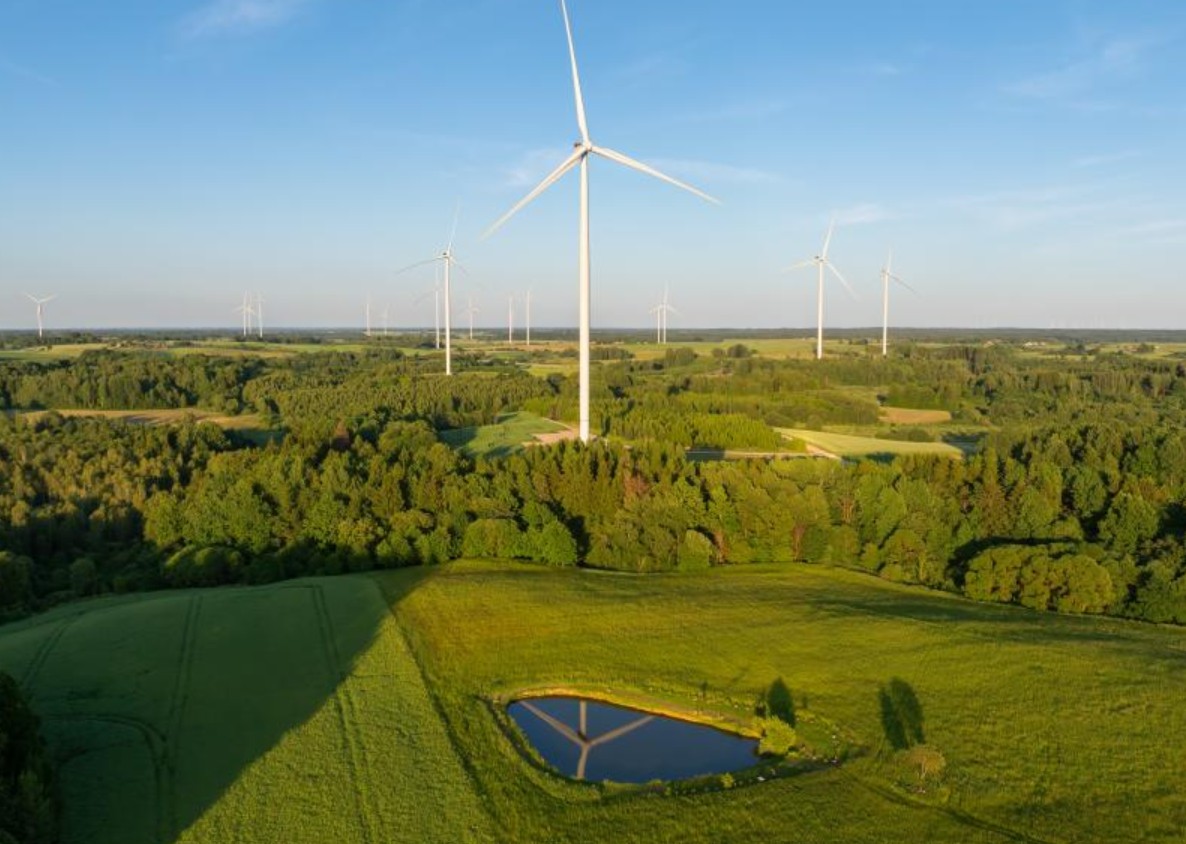 Is ‘green’ even worth paying for?