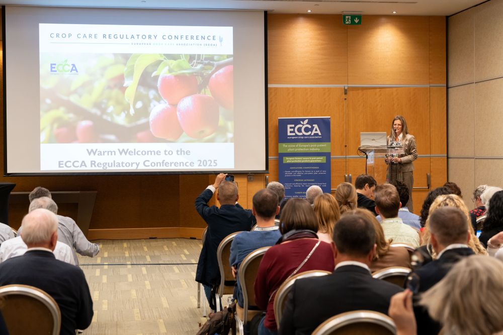 Brussels conference will take place 8–9 September