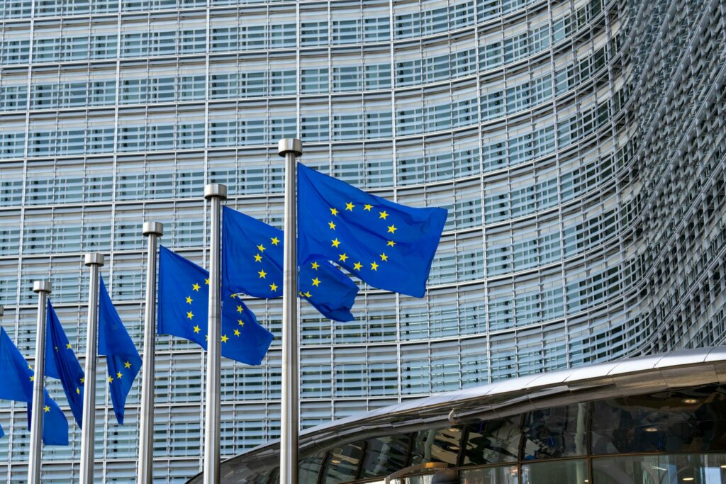 Iceland's prime minister calls EU rejection 'victory for democracy'