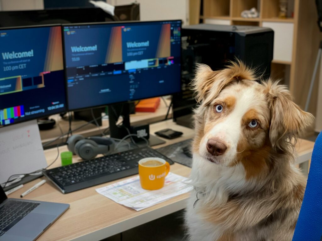 Dear Kristina: 'I wish I could bring my dog to the office'