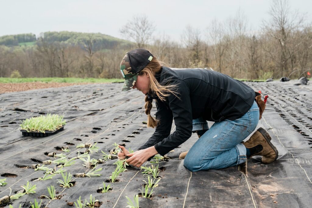 EU ministers propose shake-up of farm subsidies, focus on young and small farmers